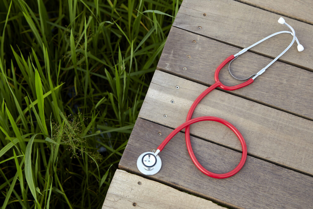 A stethoscope on a wooden deck beside tall grass represents health care for underserved communities.